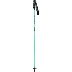 Goode Carbron Neutral Ski Poles | Sea Foam Green | 44-54"