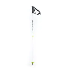 Head Worldcup SL JR Ski Racing Poles - Cosmetic Damages
